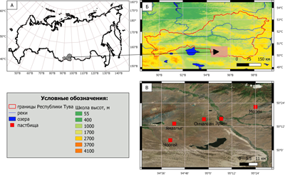 Рисунок 1. Картосхема расположения изучаемых пастбищ: А – расположение Республики Тувы на карте России; Б – расположение района исследования на карте Республики Тувы; В – месторасположение пастбищ.