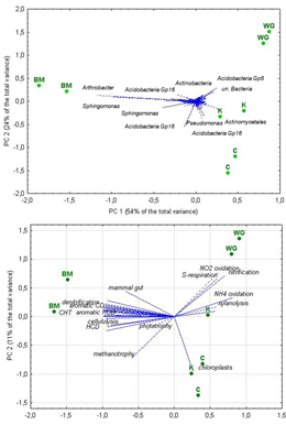 Figure 3. Principal components analysis of the data matrices with relative abundance of bacterial taxa (A) and with the number of OTUs assigned to specific functions (B) as variables for analysis: location of variables and rhizosphere soil samples in the plane of the first two principal components. Abbreviations used: WG – wax gourd, BM – bitter melon, K – kiwano, C – cowpea; CHT – chemoheterotropy; HCD – hydrocarbon degradation.