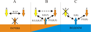 Рисунок 1. Общая схема задачи и три варианта выбора масштабов (эталонов) сравнения для традиционных и новых гидротермических коэффициентов. В качестве независимых переменных рассматриваются радиационный баланс земной поверхности R и среднегодовые осадки P. Испарение - зависимая переменная, может происходить двумя способами - с поверхности почвы E(R,P) или свободной воды E(R) (эвапорометр, естественный водоем). Эти два случая описываются разными зависимостями. Схемы образования различных коэффициентов: (А) - классического гидротермического коэффициента R/LP - радиационного индекса сухости Будыко М.И., где L - скрытая теплота парообразования; (В) – новых обобщенных переменных, безразмерных критериев подобия R/LE(R,P) и P/E(R,P). В этом варианте влажность почвы является переменной величиной, зависящей от P, чем отличается от вариантов (А и С); (С) - классического коэффициента увлажнения Высоцкого – Иванова P/E(R). Черные сплошные стрелки обозначают прямой учет связи между переменными, пунктирные - косвенный. Перечеркнутые стрелки означают, что в данном варианте параметры, обозначаемые ими, в явном виде не учитываются.